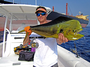 Dolphinfish 2