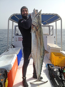 Spearfishing in Qatar