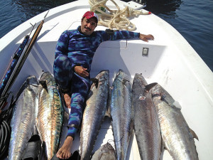 Spearfishing in Qatar2