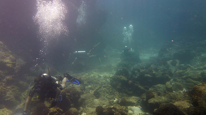 An Underwater Clean Up