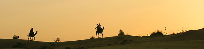 jaisalmer - thar desert - india