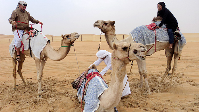 Dhafra Camel Festival