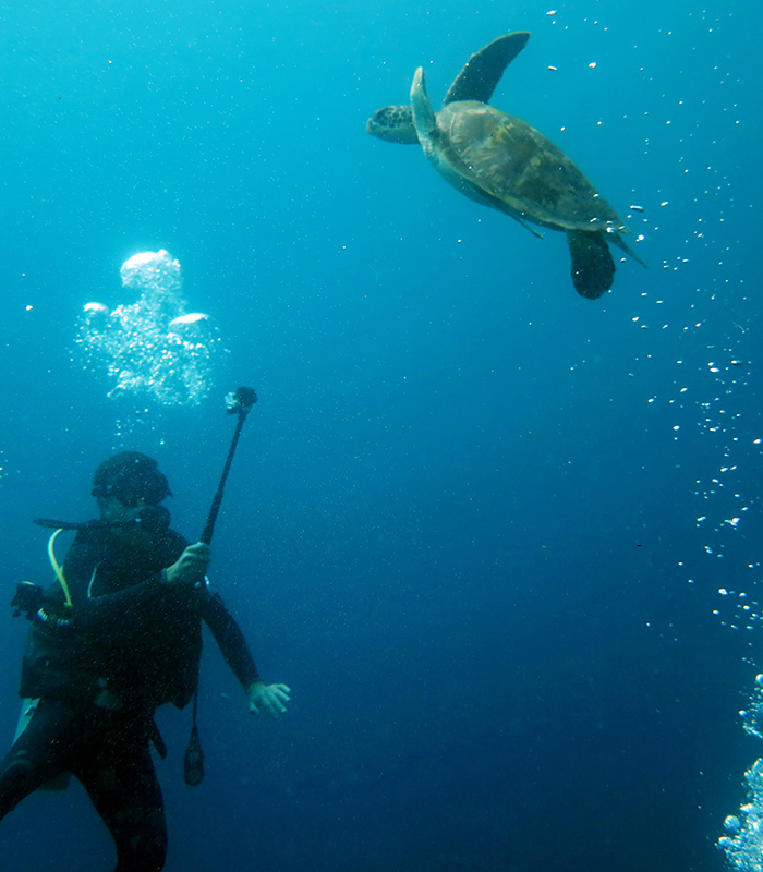 Dive Hotspot: Oman