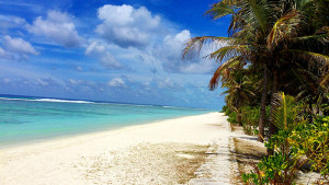 Article_Diving Maldives3
