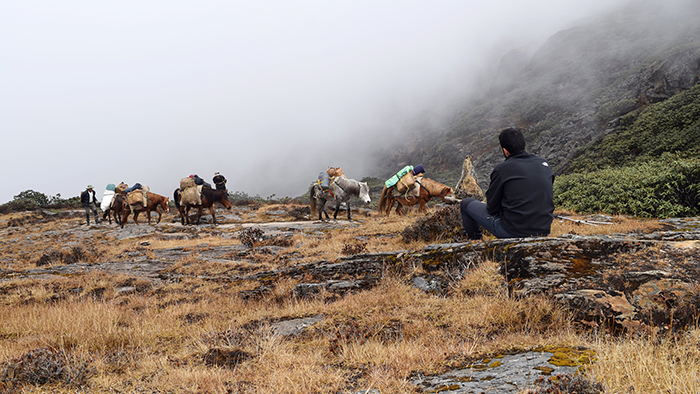 The Druk Path Diaries: Exploring Bhutan
