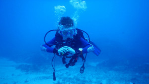 Diving 2