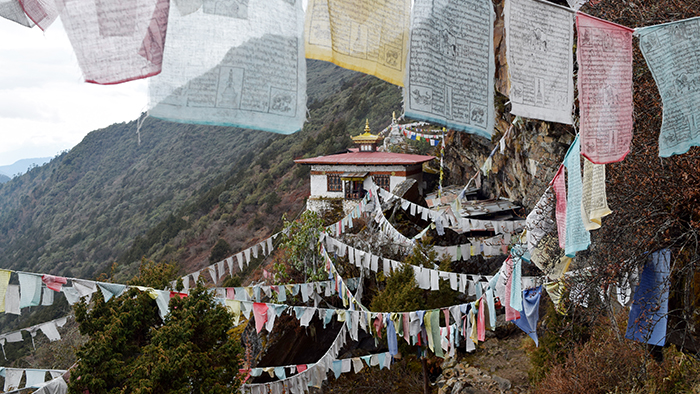 The Druk Path Diaries: Exploring Bhutan