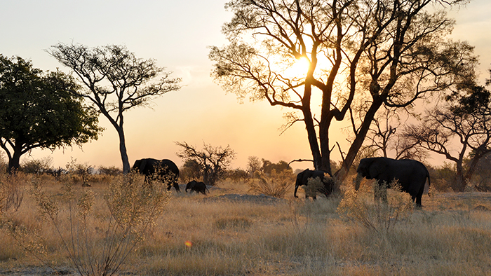 Botswana: Going out with a Bang