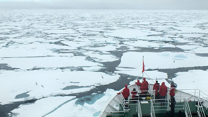 Svalbard: Polar Bears Galore! Part 2