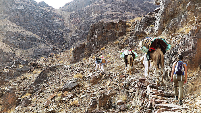 The Sinai Trail