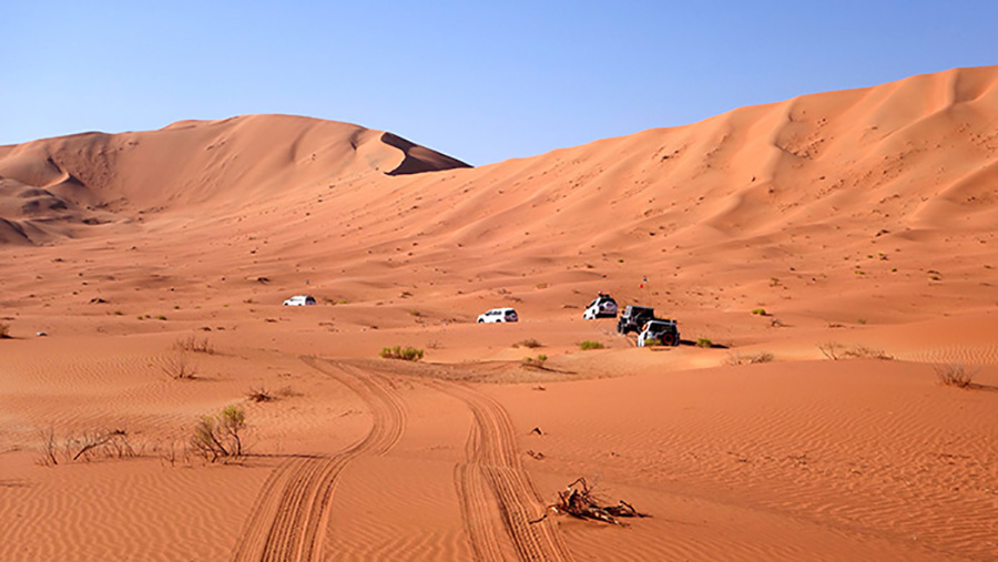 Sand Dune Areas in Oman