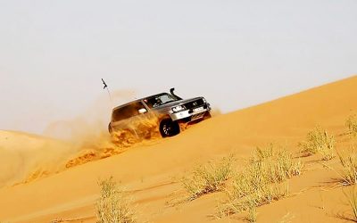 The Off-Roaders Corner: Amro and his Roaring Lion