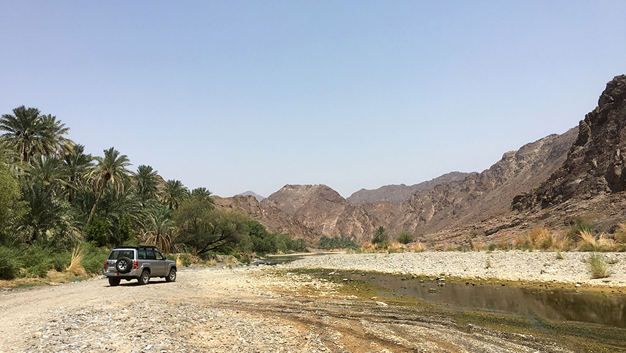 Oman Wadi Wanderings