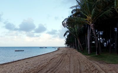 Mauritius: Paradise Rediscovered