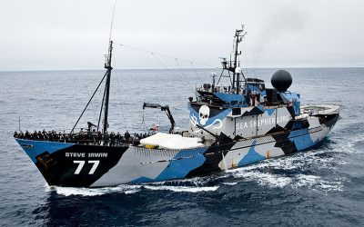 Sea Shepherd 40th Anniversary and UAE Launch