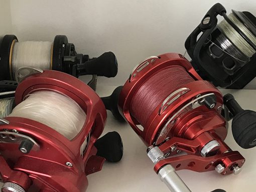 Its ‘New Year, Less Gear’ Its ‘New Year, Less Gear’