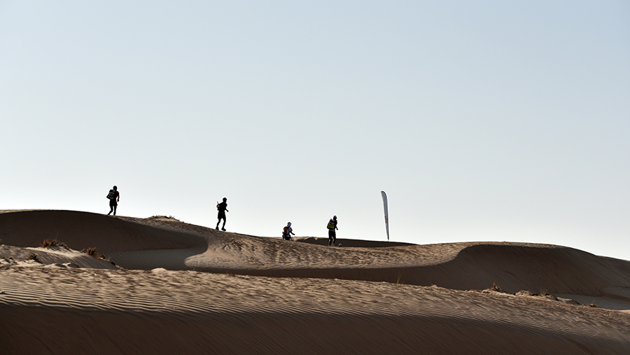 Glory of Sand