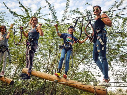 Nature Meets Adventure at Aventura Park