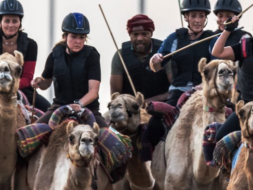 Crown Prince Camel Racing Festival & Sheikh Hamdan Heritage foundation