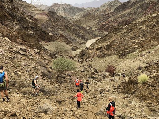 Mount Sana 60: Running Rocks in the Rain